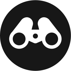 spyglass icon spyglass icon